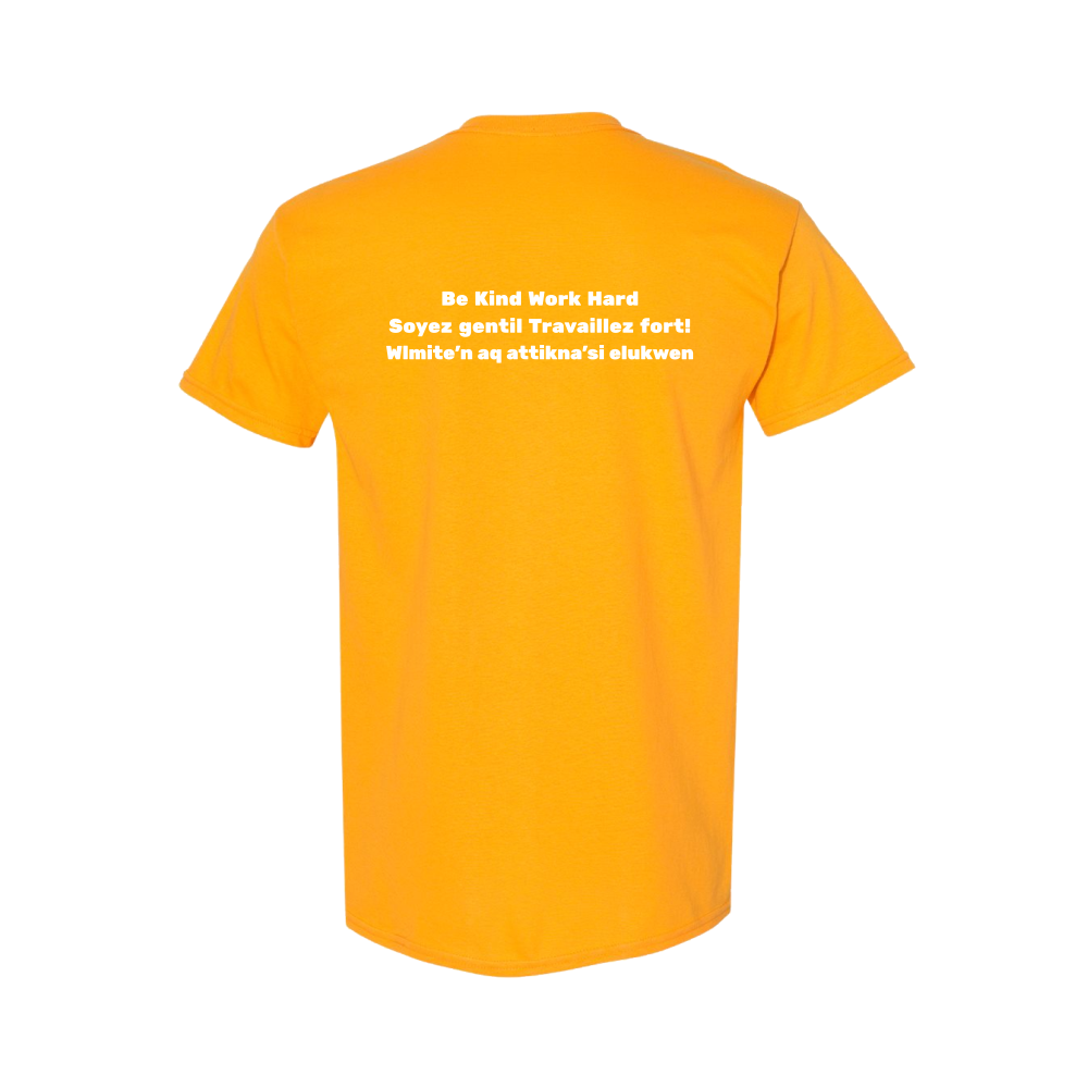 **NEW** Colour Day Be Kind tee's