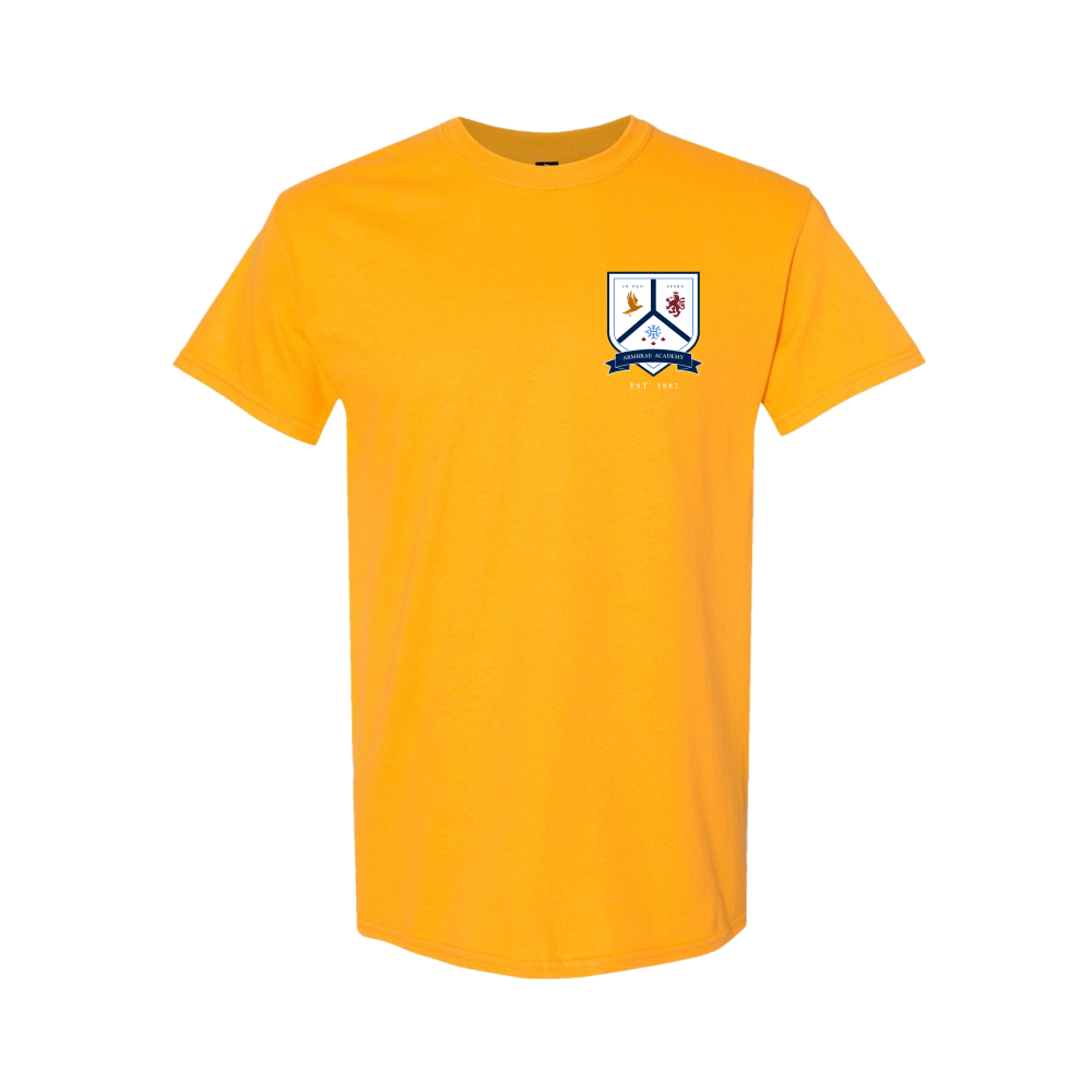 **NEW** Colour Day Be Kind tee's