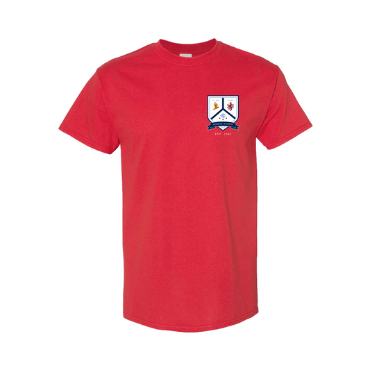 **NEW** Colour Day Be Kind tee's